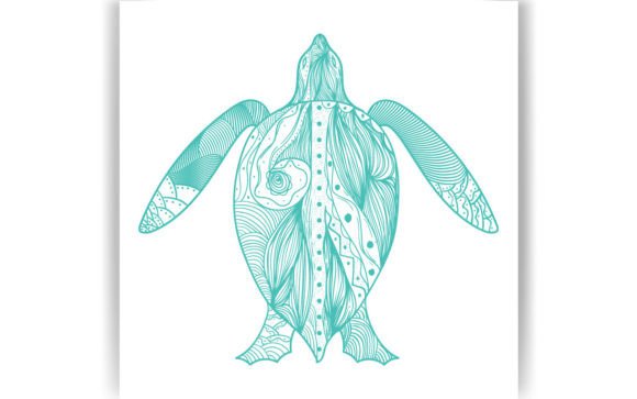 Decorative Tortoise Coloring Page Book