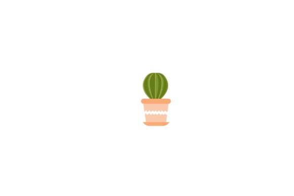 Plant Decorative Cactus